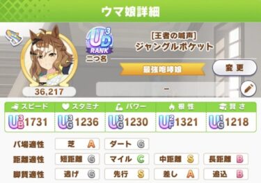 【ウマ娘】プレイ6ヶ月目だけどチャンミ用ポッケできたわ