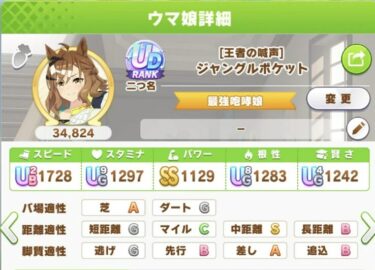 【ウマ娘】はじめて6ヶ月目だけどチャンミ用ポッケできたわ